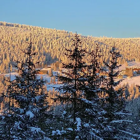 Daire Petr - Spindleruv Mlyn *