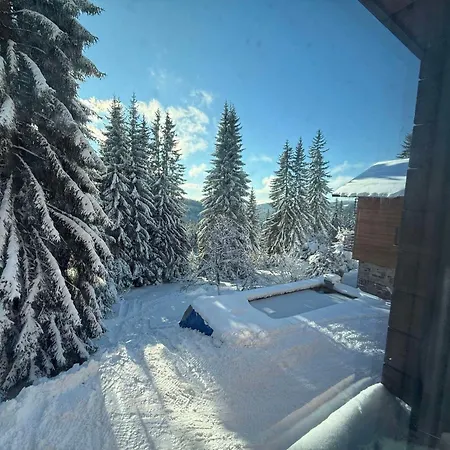 Petr - Spindleruv Mlyn Appartement *