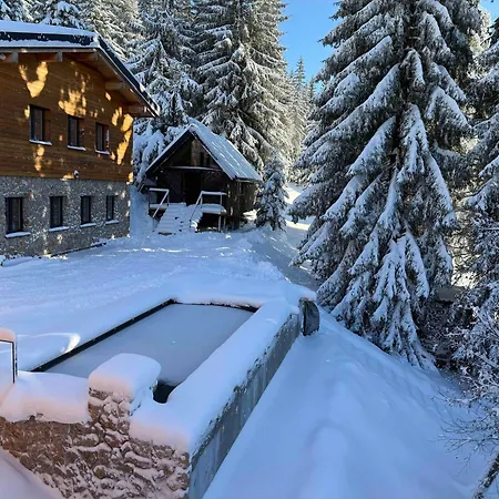 Daire Petr - Spindleruv Mlyn *